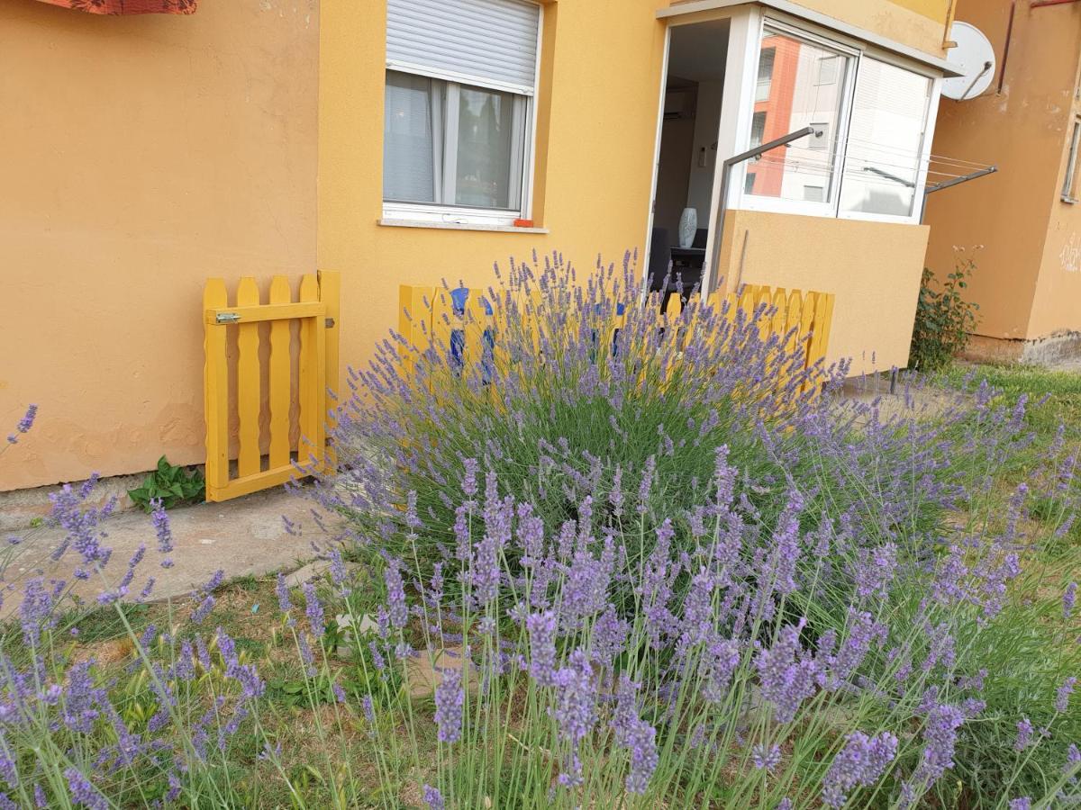 Lav Apartman Rovinj Kültér fotó
